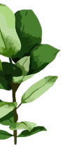 plot_leaves